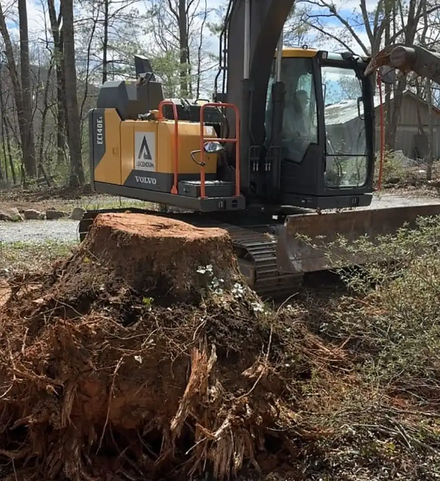 Excavator parked behind a large uprooted stump with a red clay root ball