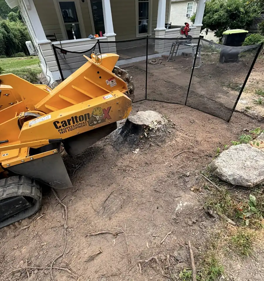 Close view of a stump grinder's cutter head at a small stump in bare dirt in front of a porch, with mesh screens round it