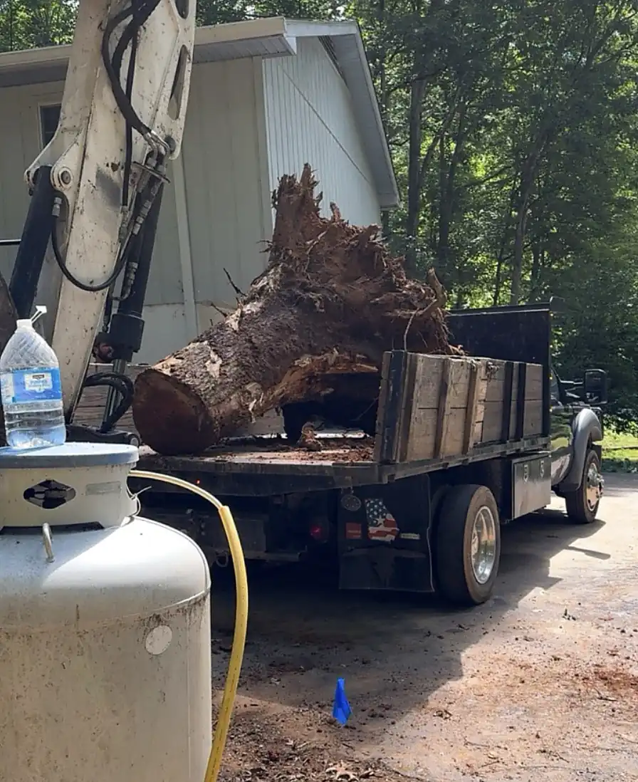 Large stump with its root ball lying on a flatbed stake truck in a driveway