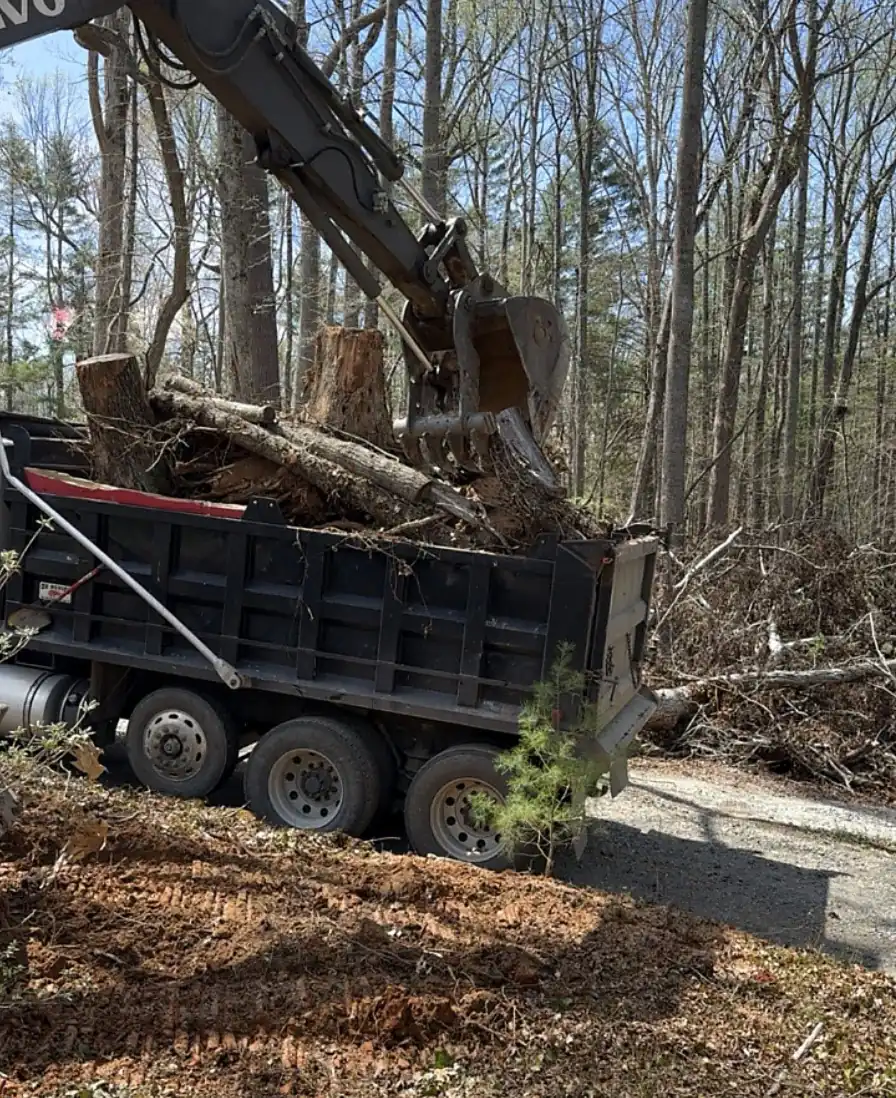 Excavator loading stumps and logs into a dump truck on a gravel track in bare woods