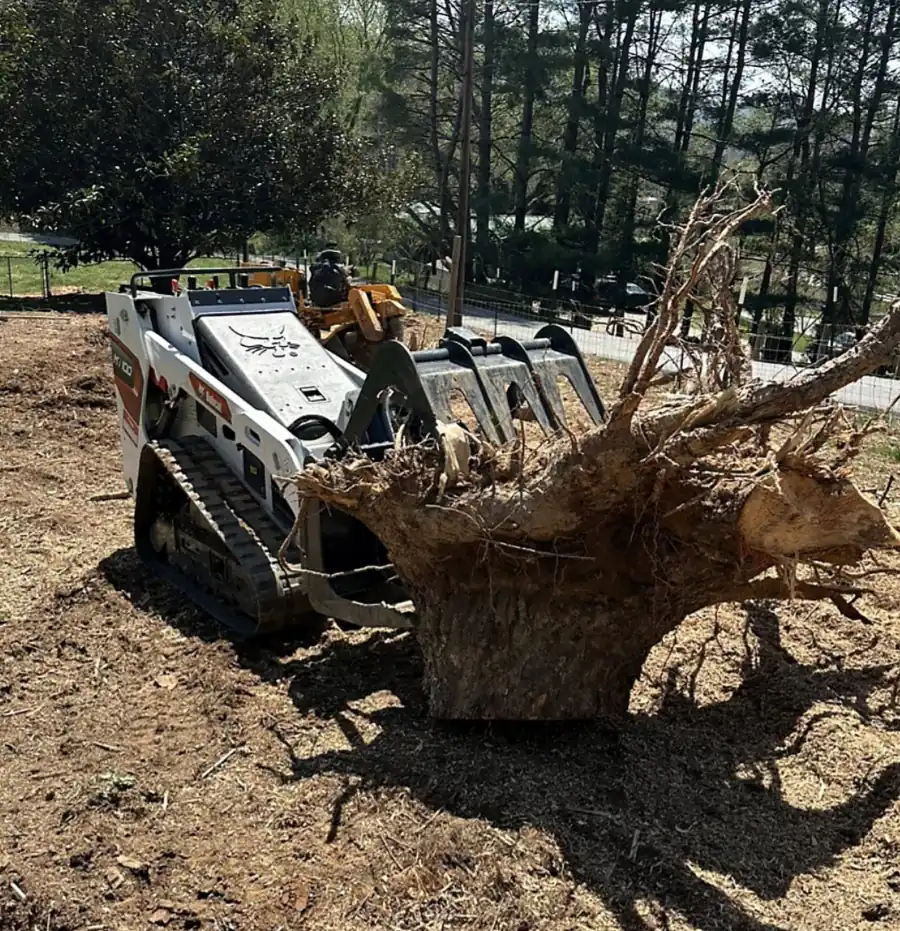 Mini track loader holding a whole uprooted stump and root ball on cleared ground with a wire fence behind
