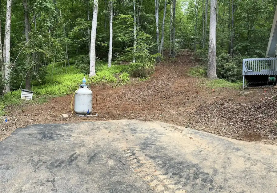 Wooded slope with a freshly cleared dirt path running uphill