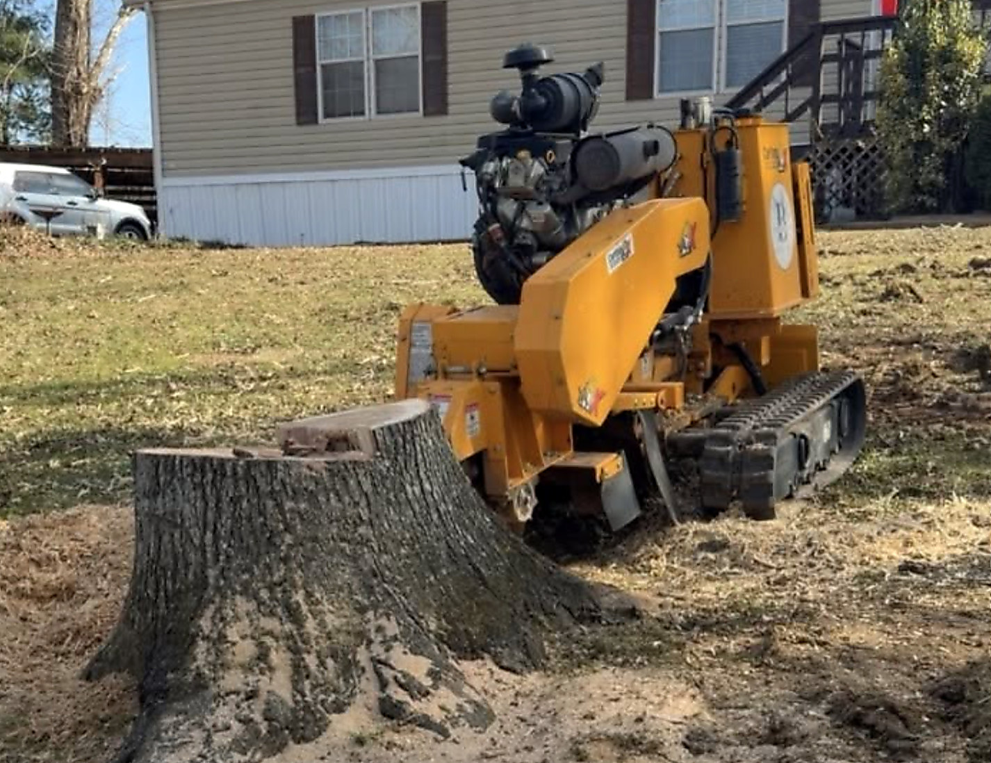 Grinder working a mature stump close to a house wall