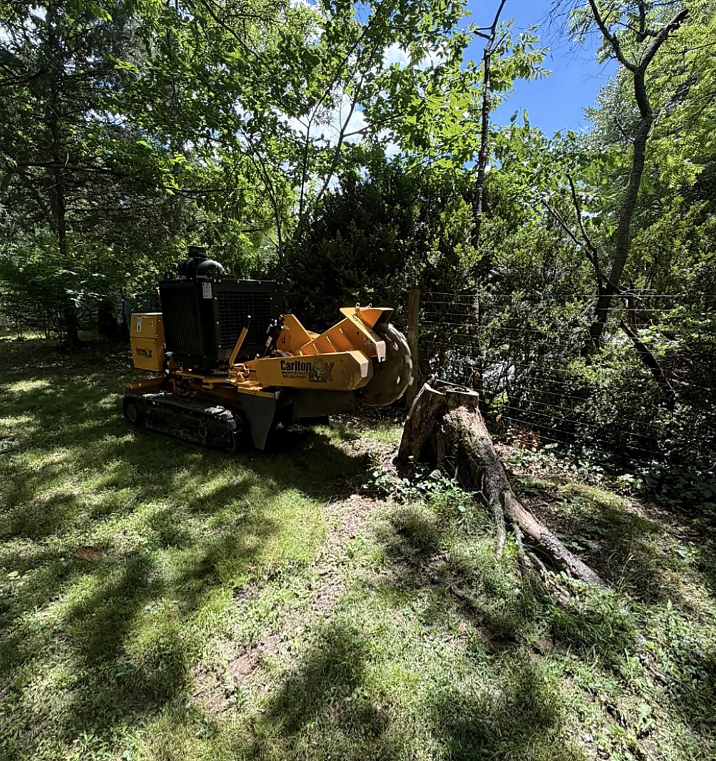 Grinding a stump on a wooded slope