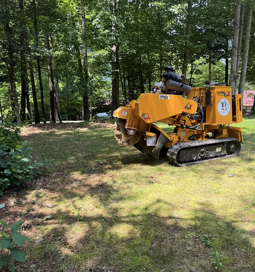 Grinder among mature trees on a shaded lawn
