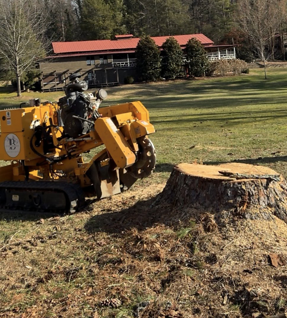 Grinder at work on a large stump in an open yard