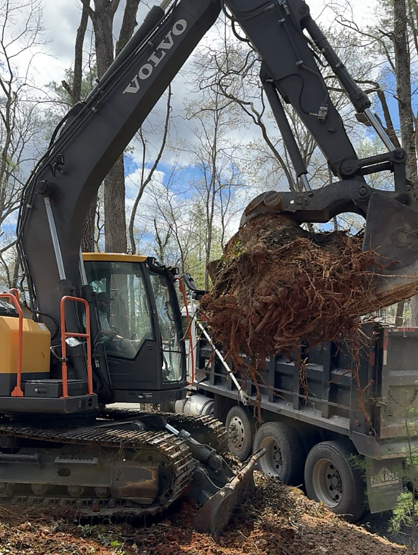 Volvo excavator lifting a root ball