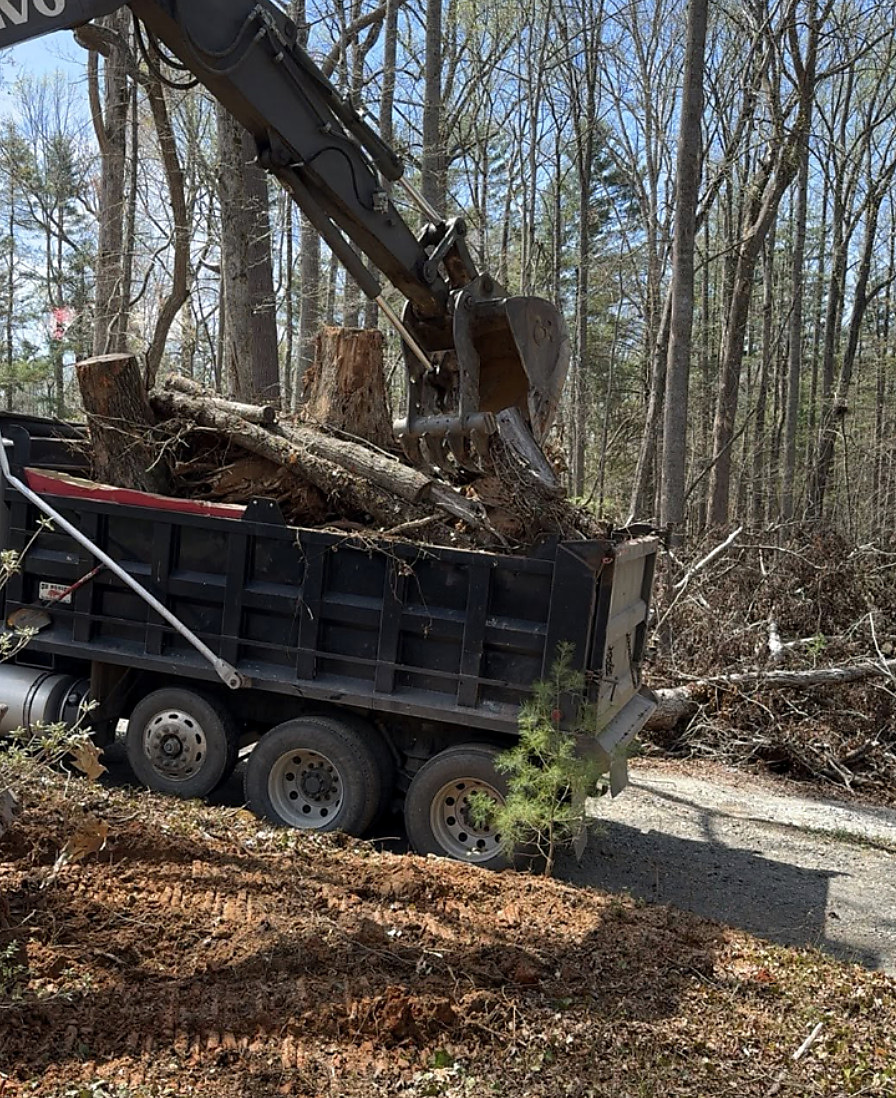 Dump trailer loaded with stumps and root wood